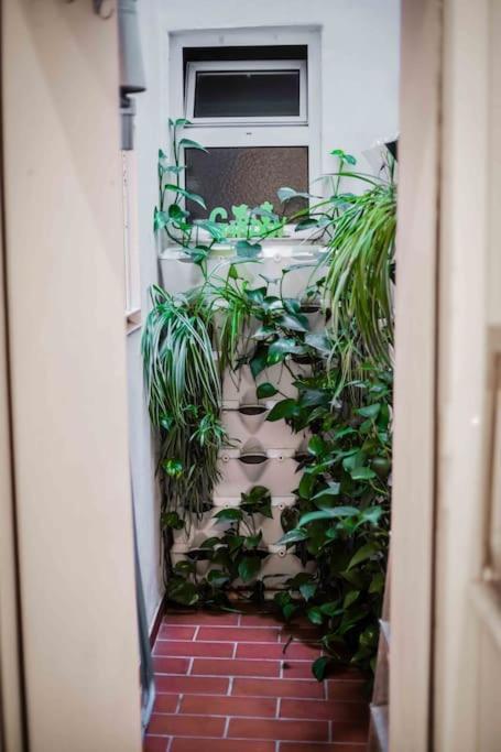 Apartament Imperial Center Seville New Management Since April Eksteriør bilde